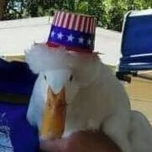 Meet your Posher, Janelle